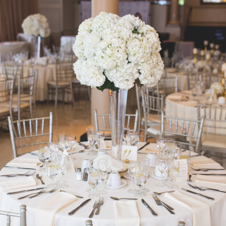 Diseño sin título (59)